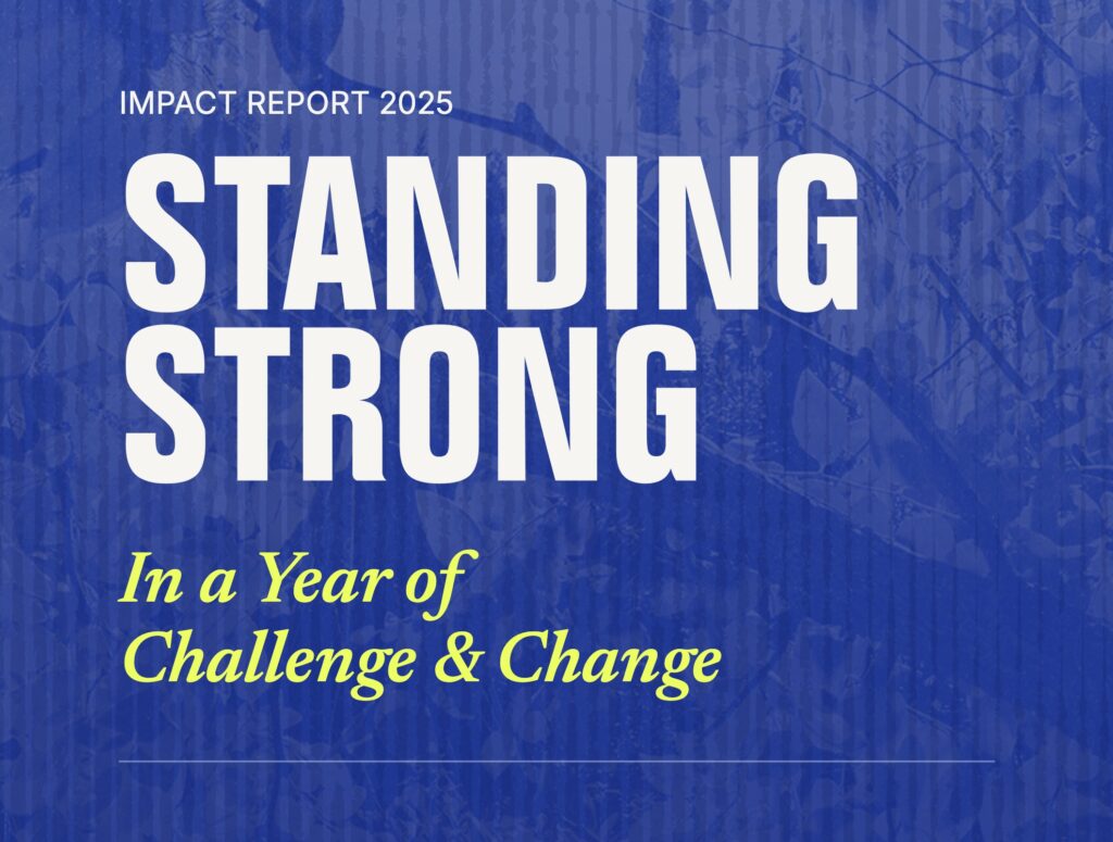 impact report 2025 popup